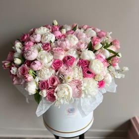 WOW PEONIES BOX